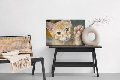 Ljuddämpande tavla - Waving 3d kitten