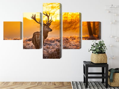Ljuddämpande tavla - Deer in the forest at sunset