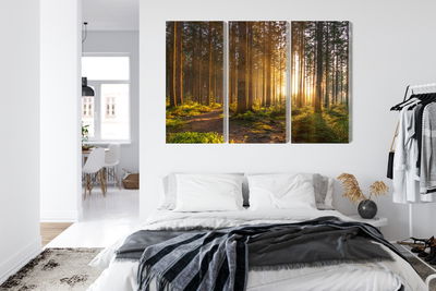 Ljuddämpande tavla - Sunset in the forest