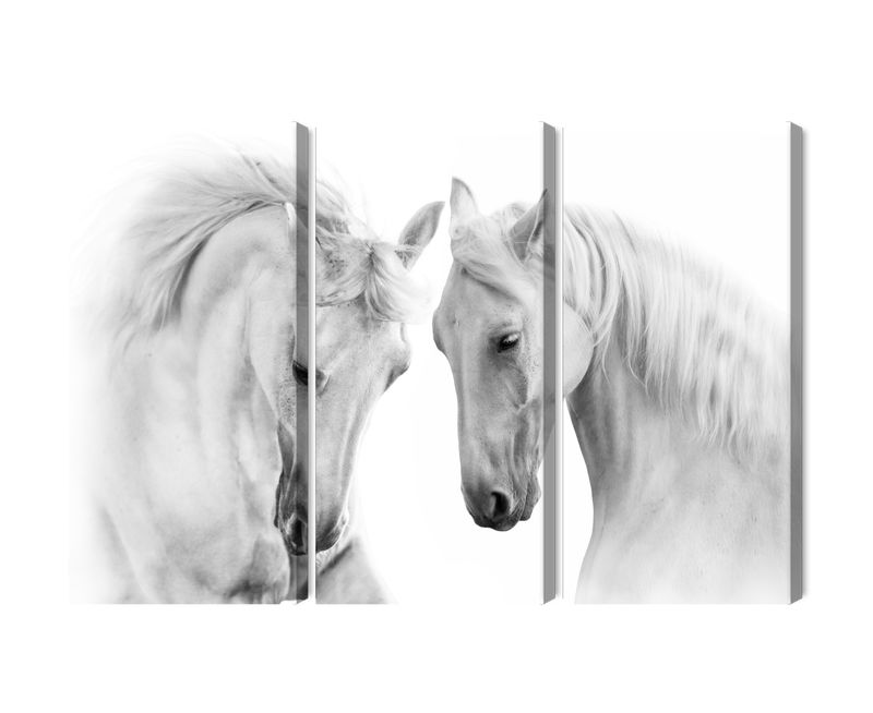 Ljuddämpande tavla - Two horses on a white