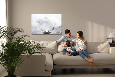 Ljuddämpande tavla - A deer looking