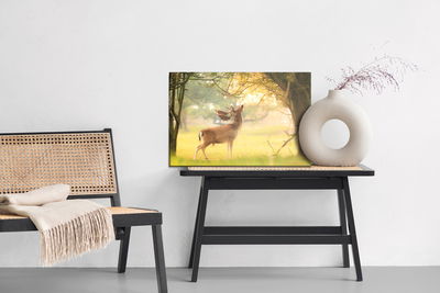 Ljuddämpande tavla - A prominent deer among