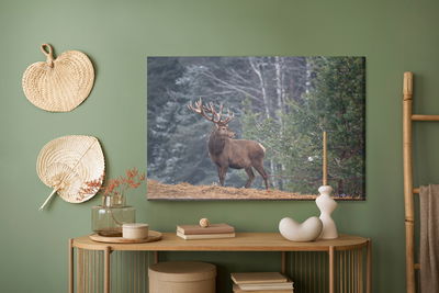 Ljuddämpande tavla - A stately deer in the forest