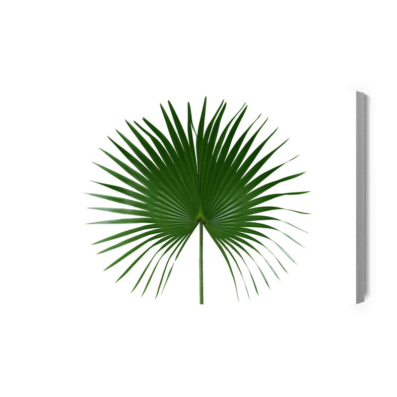 Ljuddämpande tavla - Green leaf