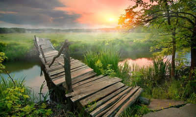 Ljuddämpande tavla - Meadow at dawn