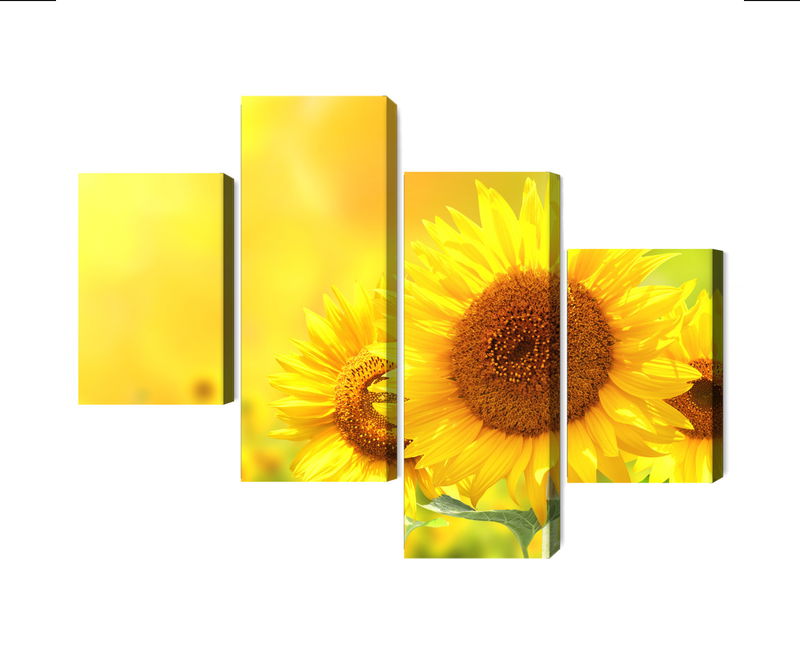 Ljuddämpande tavla - Blooming sunflowers 3d