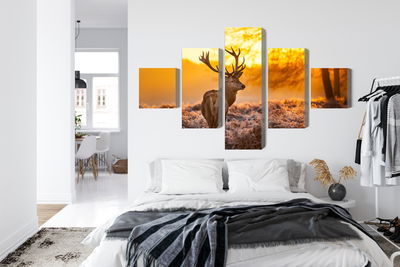 Ljuddämpande tavla - Deer in the forest at sunset