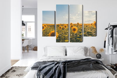 Ljuddämpande tavla - Sunflower field on a summer