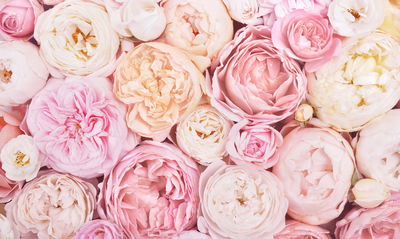 Ljuddämpande tavla - Blooming flowers in pastel