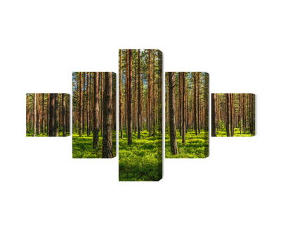 Ljuddämpande tavla - 3d pine forest