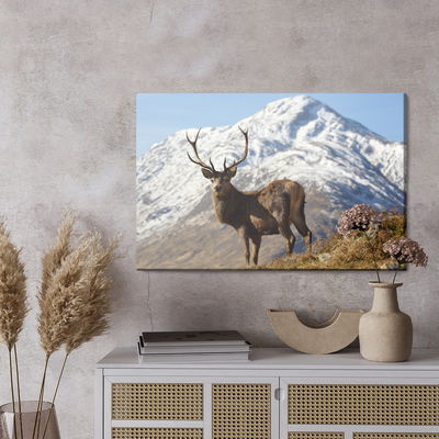 Ljuddämpande tavla - A deer with a mountain peak