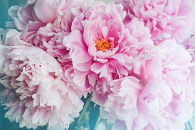 Ljuddämpande tavla - 3d peony bouquet