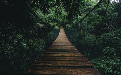 Ljuddämpande tavla - Wooden suspension bridge