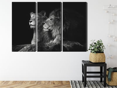 Ljuddämpande tavla - Lion and lioness on a black