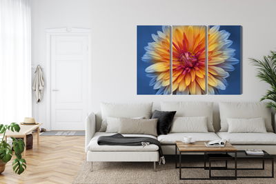 Ljuddämpande tavla - Chrysanthemum flower close