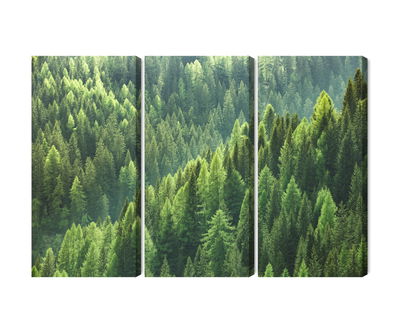 Ljuddämpande tavla - The green of the forest