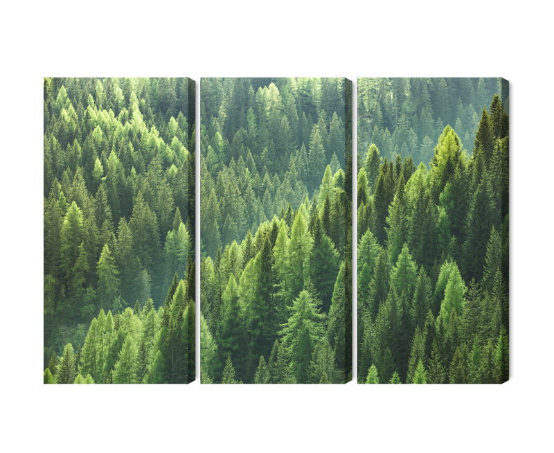 Ljuddämpande tavla - The green of the forest