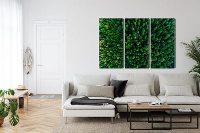 Ljuddämpande tavla - Aerial view of the green