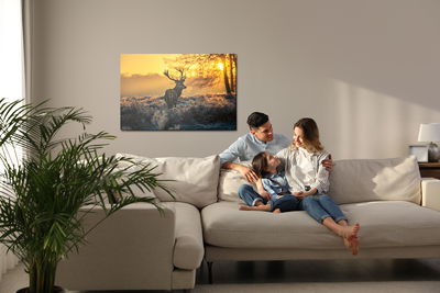 Ljuddämpande tavla - Deer in the morning