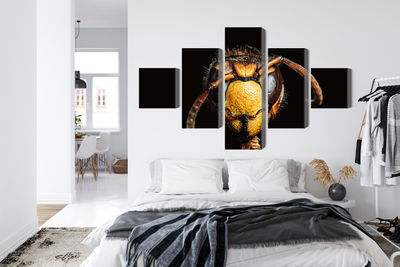 Ljuddämpande tavla - Hornet on a macro scale