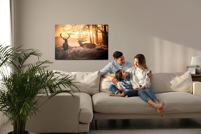 Ljuddämpande tavla - Deer in the morning