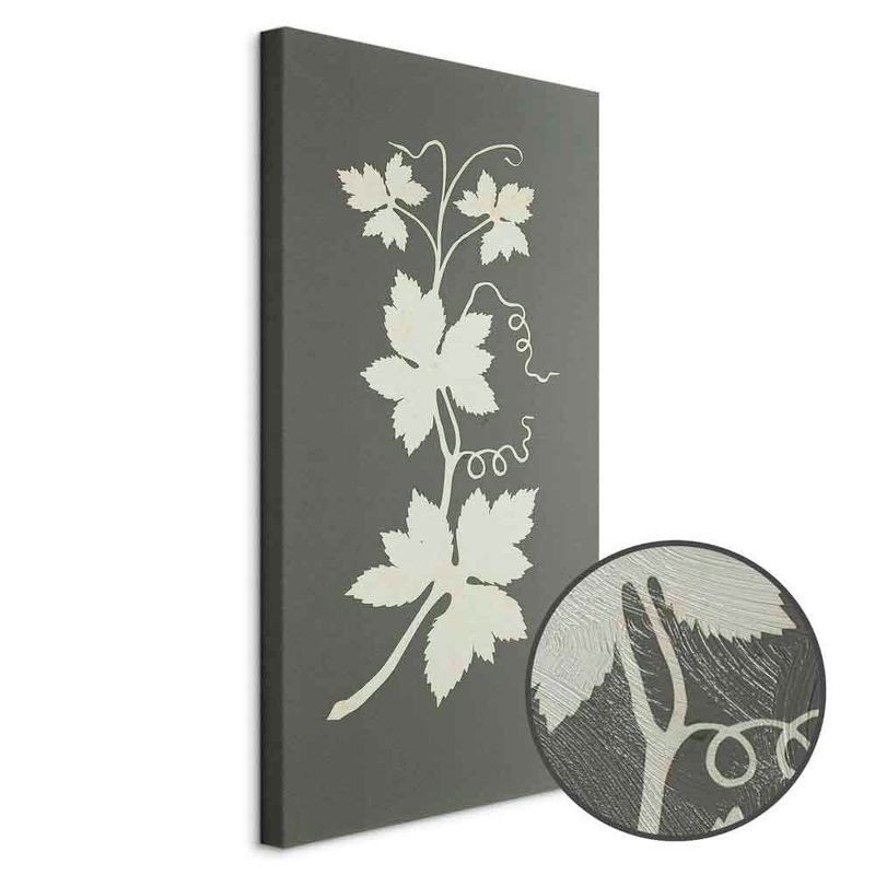 Produktvy av Philipp otto runge hop plant. En rund detaljförstoring visar den strukturerade gelytan.