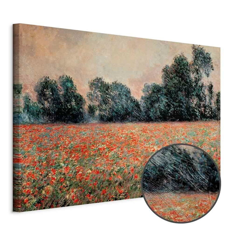 Produktvy av Claude monet field with wild. En rund detaljförstoring visar den strukturerade gelytan.