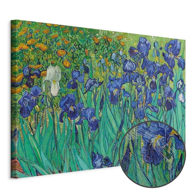 Produktvy av Vincent van gogh iryses. En rund detaljförstoring visar den strukturerade gelytan.