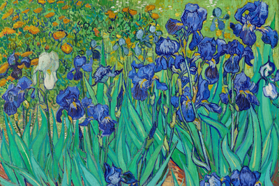 Vooraanzicht van Vincent van gogh iryses. De volledige gedrukte compositie is te zien zonder het schuine productaanzicht of de detailopname van het geloppervlak.