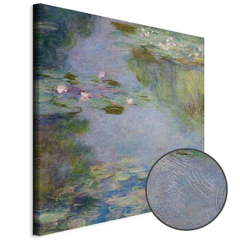 Produktvy av Claude monet nymph as. En rund detaljförstoring visar den strukturerade gelytan.