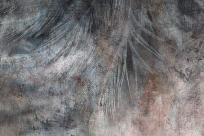 Vooraanzicht van Grey feather wide. De volledige gedrukte compositie is te zien zonder het schuine productaanzicht of de detailopname van het geloppervlak.