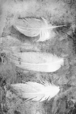 Vooraanzicht van Fleeting mystery. De volledige gedrukte compositie is te zien zonder het schuine productaanzicht of de detailopname van het geloppervlak.