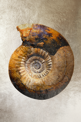Vooraanzicht van Petrified colour. De volledige gedrukte compositie is te zien zonder het schuine productaanzicht of de detailopname van het geloppervlak.