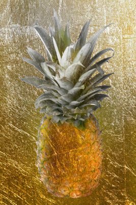 Vooraanzicht van Forbidden fruit. De volledige gedrukte compositie is te zien zonder het schuine productaanzicht of de detailopname van het geloppervlak.