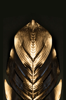 Vooraanzicht van Pharaoh& s gold. De volledige gedrukte compositie is te zien zonder het schuine productaanzicht of de detailopname van het geloppervlak.