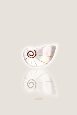Vooraanzicht van Ceramic shell. De volledige gedrukte compositie is te zien zonder het schuine productaanzicht of de detailopname van het geloppervlak.