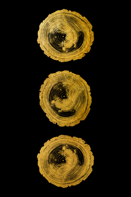 Vooraanzicht van Golden knots. De volledige gedrukte compositie is te zien zonder het schuine productaanzicht of de detailopname van het geloppervlak.