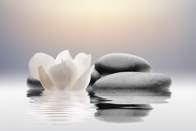 Vooraanzicht van Garden of calm. De volledige gedrukte compositie is te zien zonder het schuine productaanzicht of de detailopname van het geloppervlak.