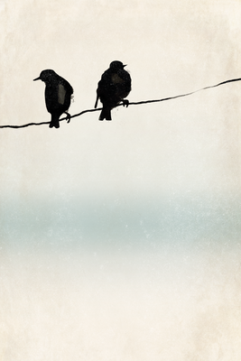 Vooraanzicht van Frozen sparrows. De volledige gedrukte compositie is te zien zonder het schuine productaanzicht of de detailopname van het geloppervlak.