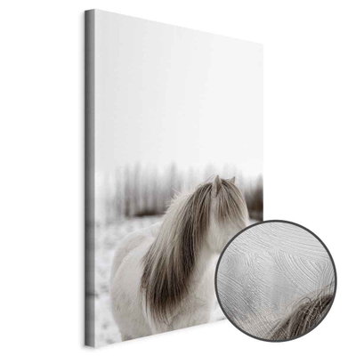 Schuin productaanzicht van Horse mane. Het motief loopt door over de randen van het canvas. Een ronde detailopname toont het reliëf van het geloppervlak.