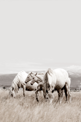 Vooraanzicht van White horses. De volledige gedrukte compositie is te zien zonder het schuine productaanzicht of de detailopname van het geloppervlak.