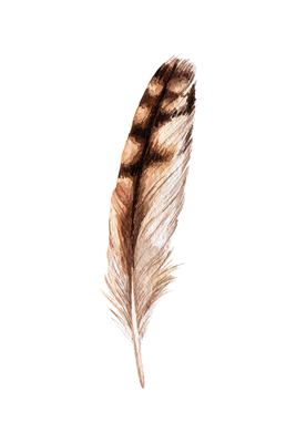 Vooraanzicht van Magic feather. De volledige gedrukte compositie is te zien zonder het schuine productaanzicht of de detailopname van het geloppervlak.