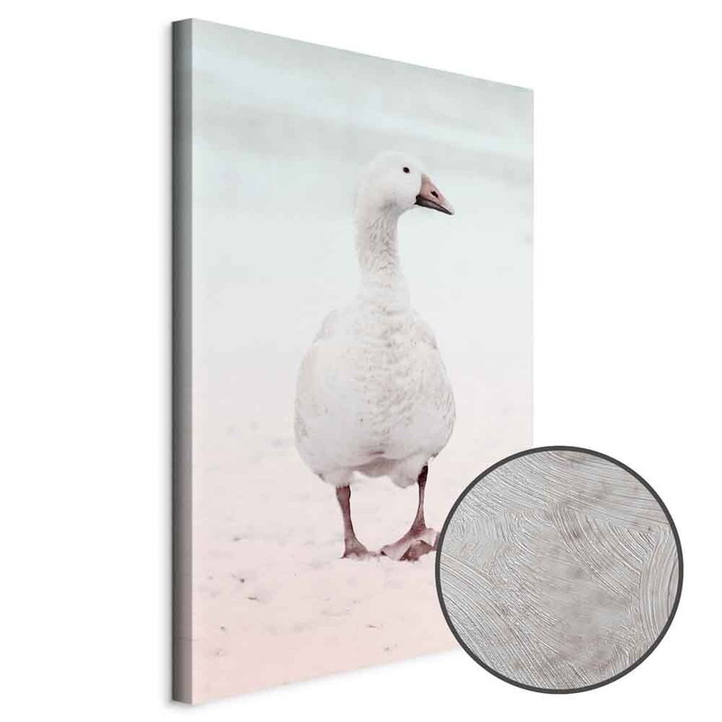 Produktvy av Winter duck. En rund detaljförstoring visar den strukturerade gelytan.