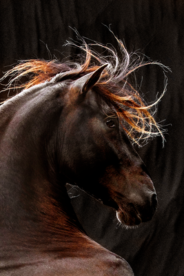 Vooraanzicht van Fiery wind. De volledige gedrukte compositie is te zien zonder het schuine productaanzicht of de detailopname van het geloppervlak.