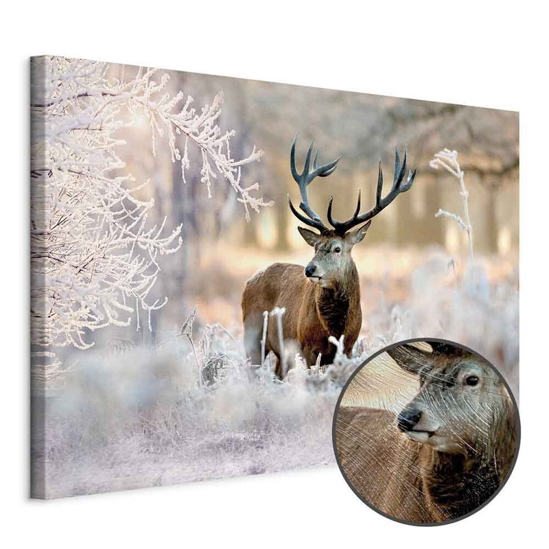 Produktvy av Deer in the cold. En rund detaljförstoring visar den strukturerade gelytan.