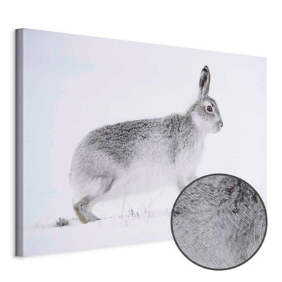 Schuin productaanzicht van Hare wide. Het motief loopt door over de randen van het canvas. Een ronde detailopname toont het reliëf van het geloppervlak.