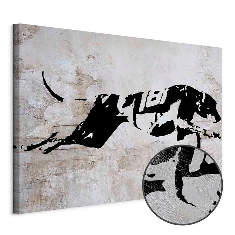 Produktvy av Greyhound race wide. En rund detaljförstoring visar den strukturerade gelytan.