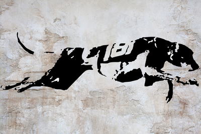 Vooraanzicht van Greyhound race wide. De volledige gedrukte compositie is te zien zonder het schuine productaanzicht of de detailopname van het geloppervlak.
