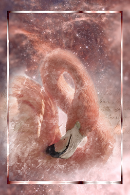 Vooraanzicht van Space flamingo. De volledige gedrukte compositie is te zien zonder het schuine productaanzicht of de detailopname van het geloppervlak.