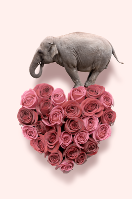 Vooraanzicht van Elephant lover - elephant. De volledige gedrukte compositie is te zien zonder het schuine productaanzicht of de detailopname van het geloppervlak.